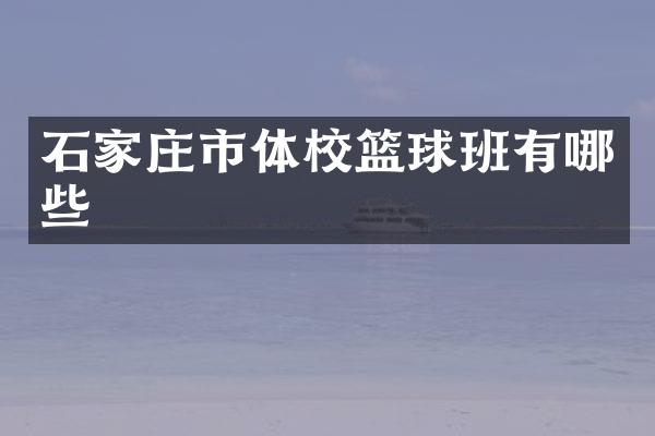 石家庄市体校篮球班有哪些