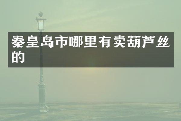 秦皇岛市哪里有卖葫芦丝的