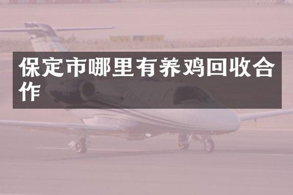 保定市哪里有养鸡回收合作