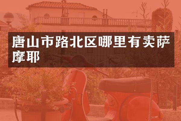 唐山市路北区哪里有卖萨摩耶