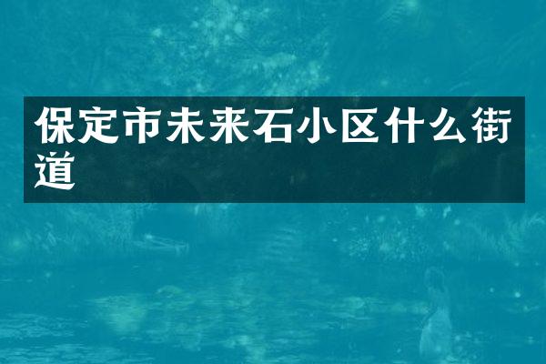保定市未来石小区什么街道