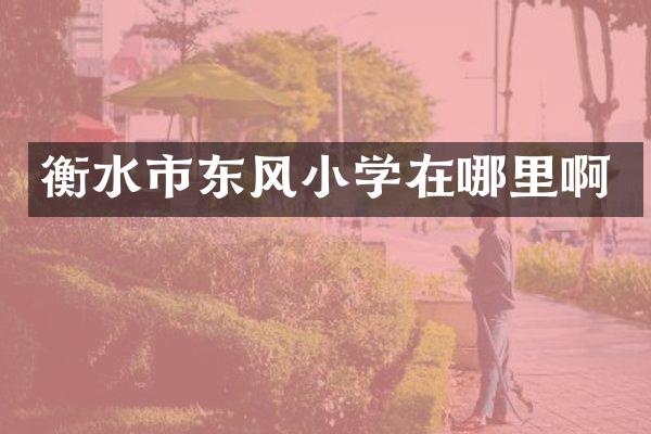 衡水市东风小学在哪里啊