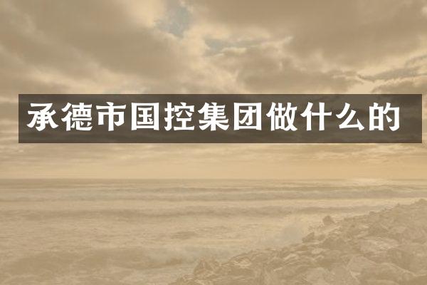 承德市国控集团做什么的