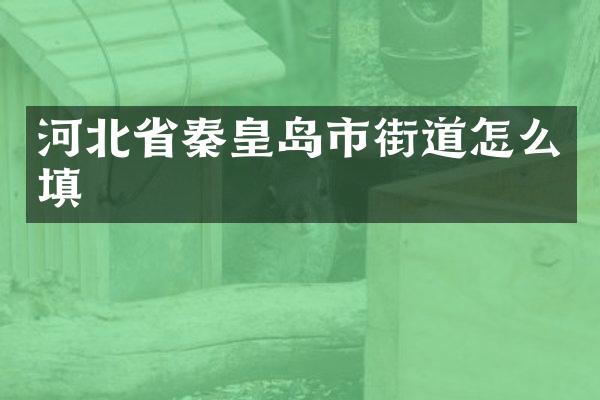 河北省秦皇岛市街道怎么填