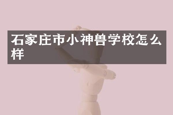 石家庄市小神兽学校怎么样
