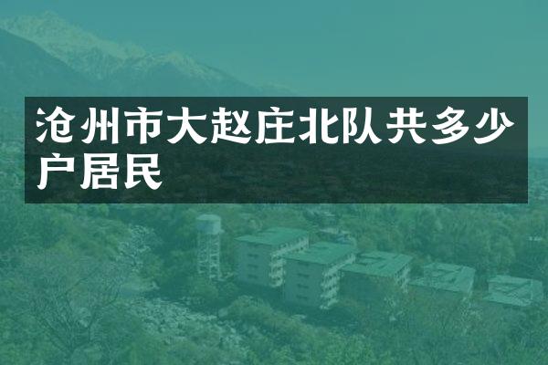 沧州市大赵庄北队共多少户居民