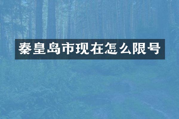 秦皇岛市现在怎么限号