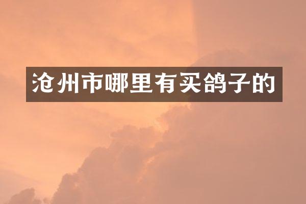 沧州市哪里有买鸽子的