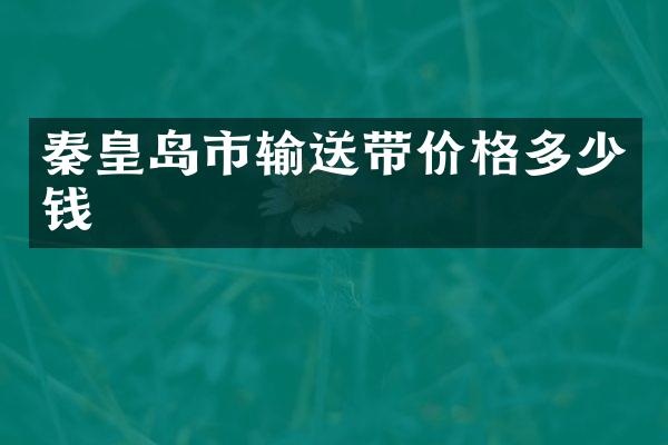 秦皇岛市输送带价格多少钱