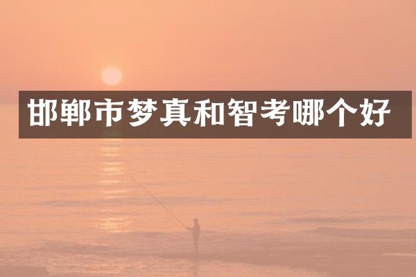 邯郸市梦真和智考哪个好