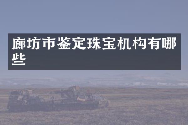 廊坊市鉴定珠宝机构有哪些
