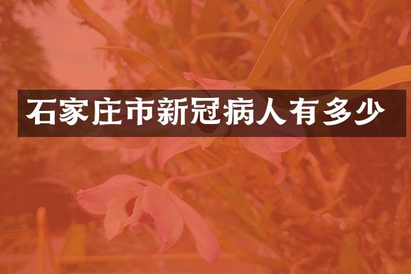 石家庄市新冠病人有多少