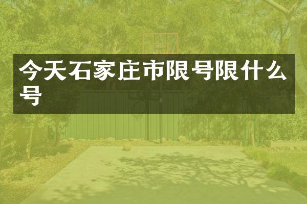今天石家庄市限号限什么号