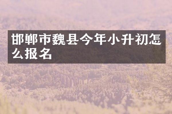 邯郸市魏县今年小升初怎么报名