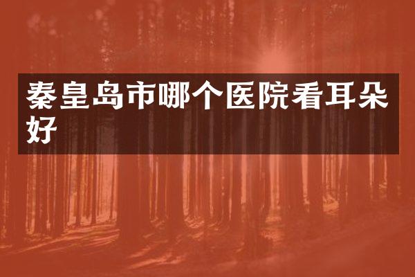 秦皇岛市哪个医院看耳朵好
