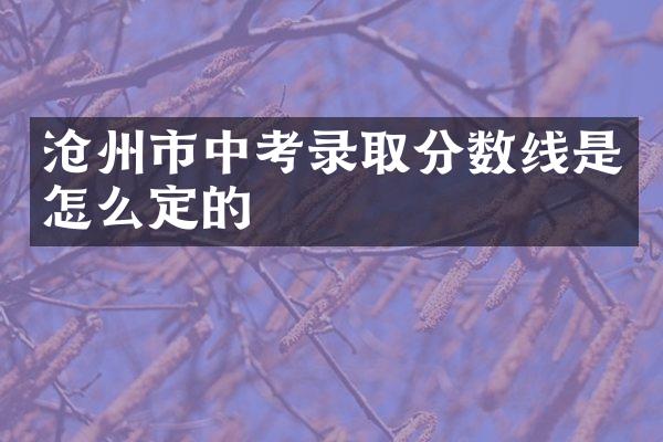 沧州市中考录取分数线是怎么定的