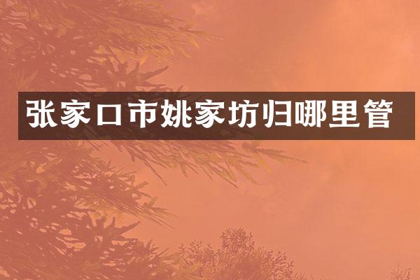 张家口市姚家坊归哪里管
