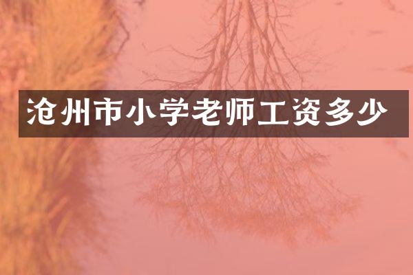 沧州市小学老师工资多少