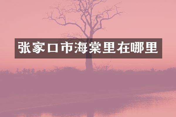 张家口市海棠里在哪里