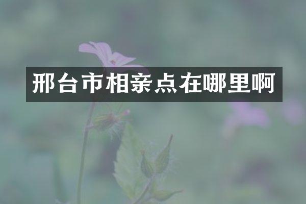 邢台市相亲点在哪里啊