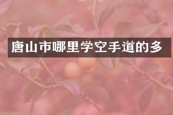 唐山市哪里学空手道的多