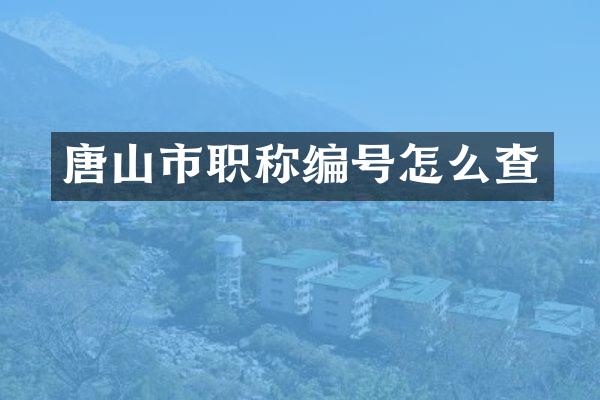 唐山市职称编号怎么查