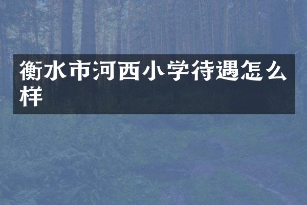 衡水市河西小学待遇怎么样