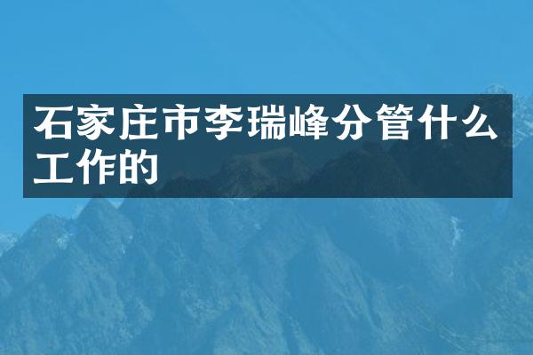 石家庄市李瑞峰分管什么工作的