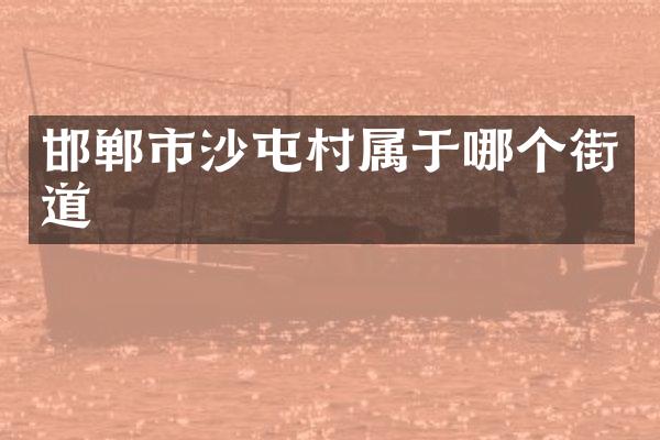 邯郸市沙屯村属于哪个街道