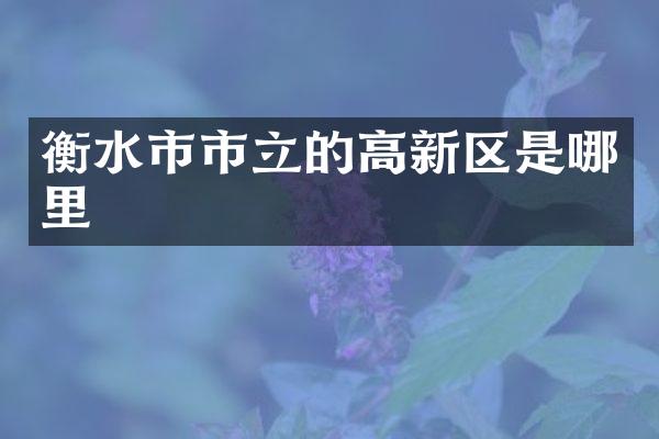 衡水市市立的高新区是哪里