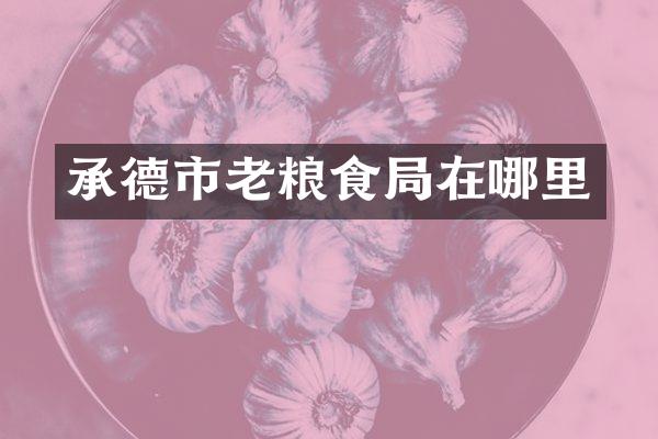 承德市老粮食局在哪里