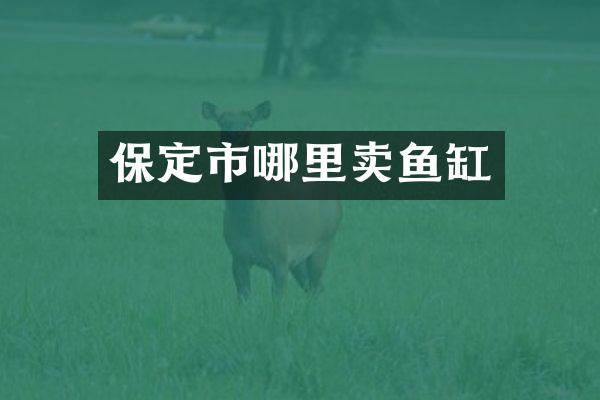 保定市哪里卖鱼缸