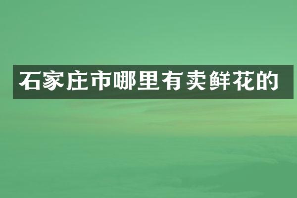 石家庄市哪里有卖鲜花的