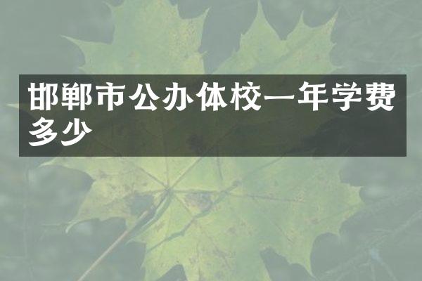 邯郸市公办体校一年学费多少