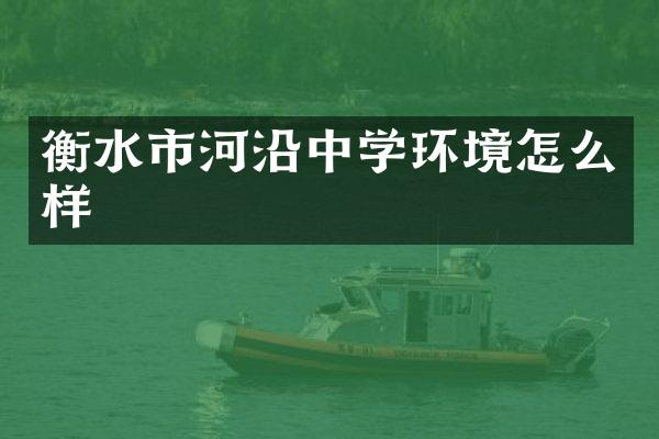 衡水市河沿中学环境怎么样
