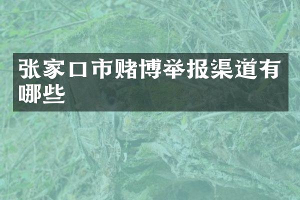 张家口市赌博举报渠道有哪些