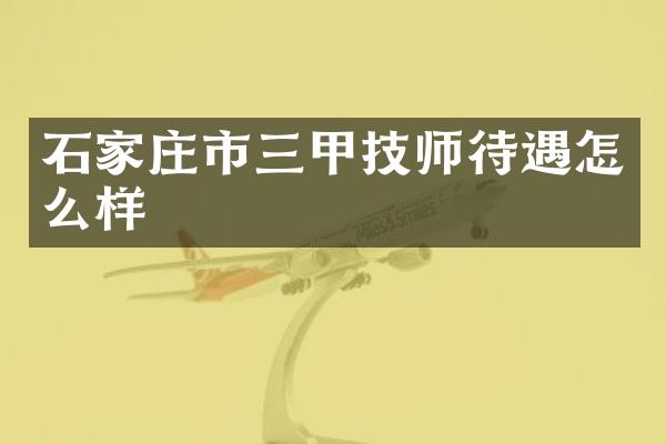 石家庄市三甲技师待遇怎么样