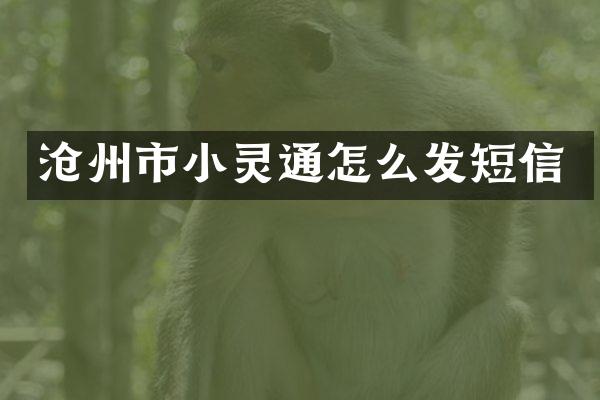 沧州市小灵通怎么发短信