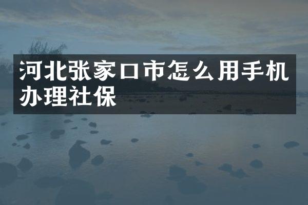 河北张家口市怎么用手机办理社保