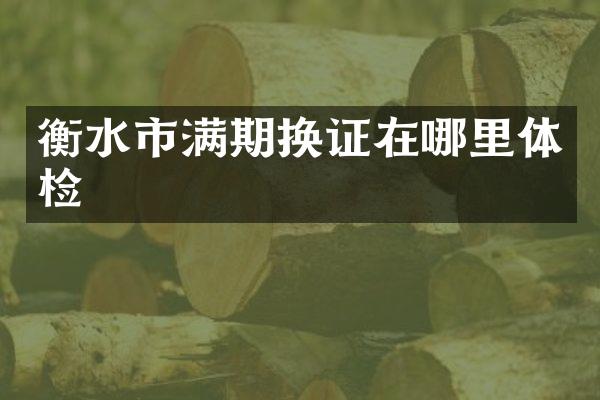 衡水市满期换证在哪里体检