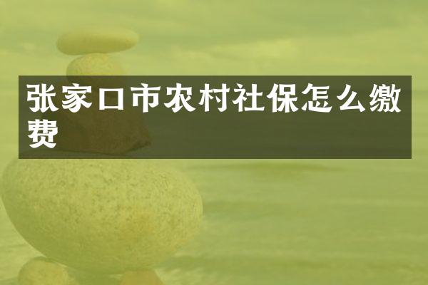 张家口市农村社保怎么缴费