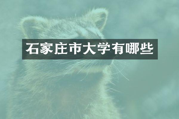 石家庄市大学有哪些