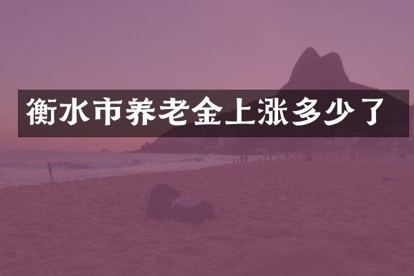 衡水市养老金上涨多少了