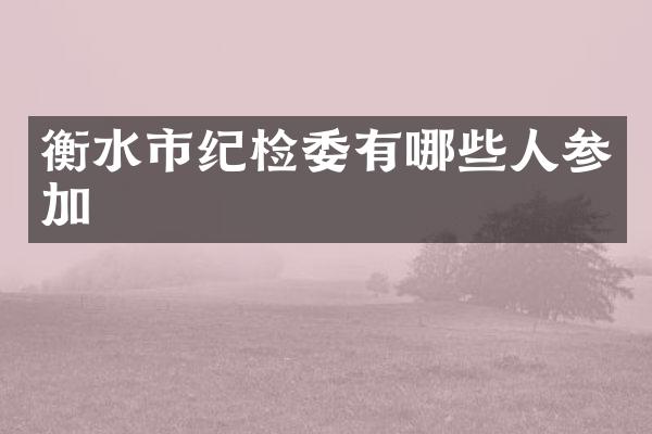 衡水市纪检委有哪些人参加