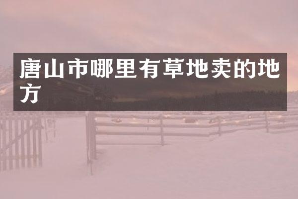 唐山市哪里有草地卖的地方