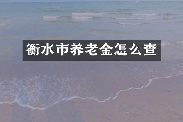 衡水市养老金怎么查