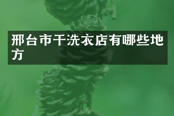 邢台市干洗衣店有哪些地方