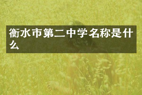 衡水市第二中学名称是什么