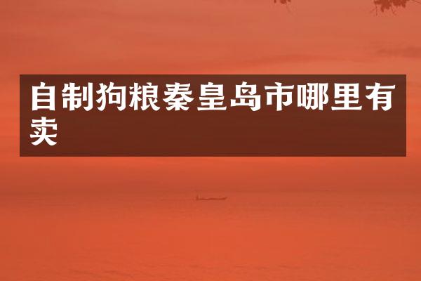 自制秦皇岛市哪里有卖