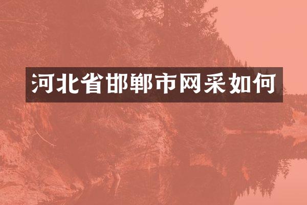 河北省邯郸市网采如何